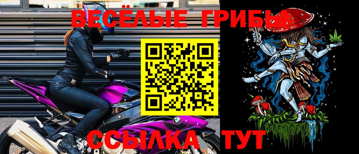 Красноармейск  Псилоцибиновые грибы GOLDEN TEACHER  Вход с VPN 